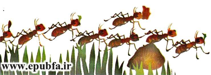 قصه مصری -مورچه ها را چو بود اتحاد- از مجموعه قصه بیایید با هم زندگی کنیم-سایت ایپابفا